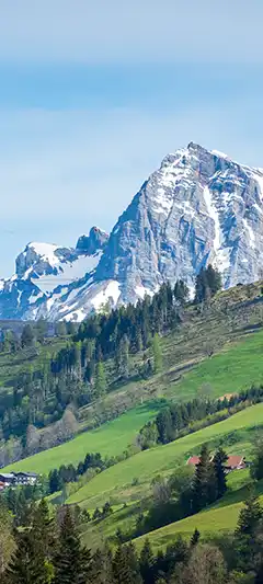 Bildauswahl - beliebte Themen für Sie