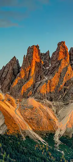 Neue Bilder mit Autos und Natur fürs Smartphone