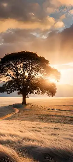 coole Full HD Hintergrundbilder für Mobiltelefone: Verschiedene