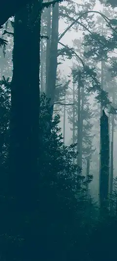 Coole Hintergrundbilder für Ihr Telefon 1080x2400 (Auswahl Nr. 5)