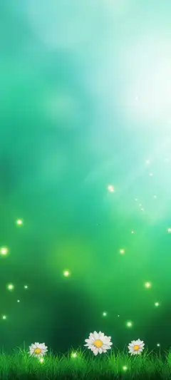 Full HD Bilder für Telefon 2025 – kostenlos