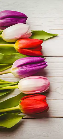 Neue Handybilder Herunterladen: beliebte Themen