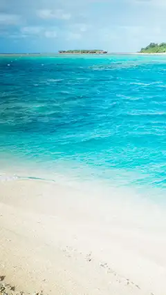 Images de haute qualité 1440x2560 pour téléphone