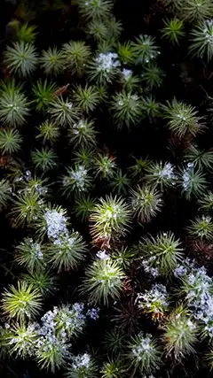 Une sélection de nouvelles images 2K pour vous