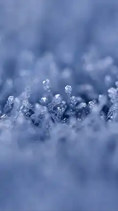 Collection de 2K photos sur votre téléphone - gratuit