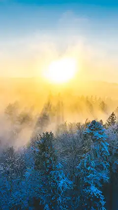 2K Fonds d'écran sur des thèmes populaires