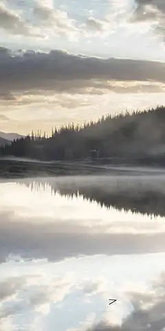 Fonds d'écran (assorti) pour tous les goûts pour votre smartphone