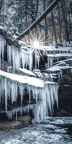 Images de qualité 4K: différents sujets