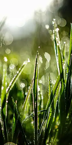 fonds d'écran 4K de qualité pour une bonne humeur