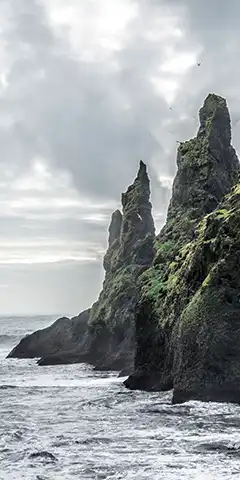 Téléchargez des fonds d'écran de haute qualité sur votre téléphone: (assortiment)