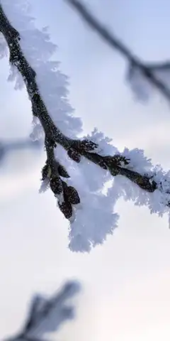 Télécharger de nouveaux fonds d'écran: différents thèmes