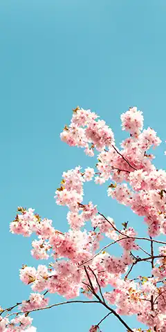 Images 4K avec paysages, océan, voitures - gratuites