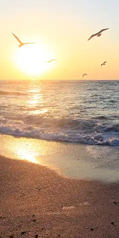 Téléchargez des arrière-plans de haute qualité sur votre smartphone