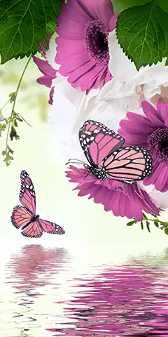 Скачати на телефон красиві заставки: (тварини)