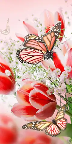 Завантажити на смартфон красиві фони