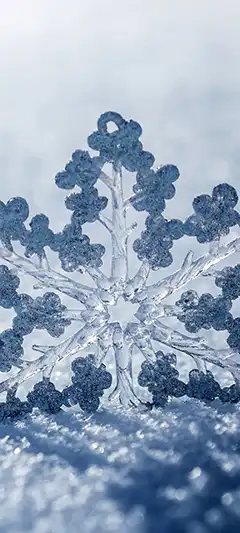 Качественные картинки 720x1600 - снежинки