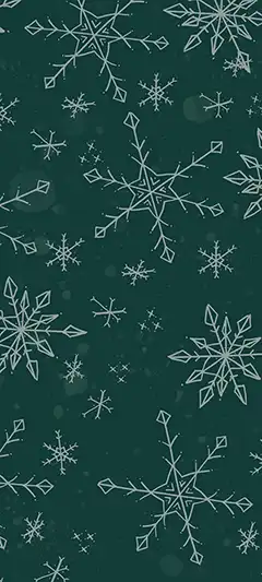 Бесплатные зимние HD Plus обои на смартфон