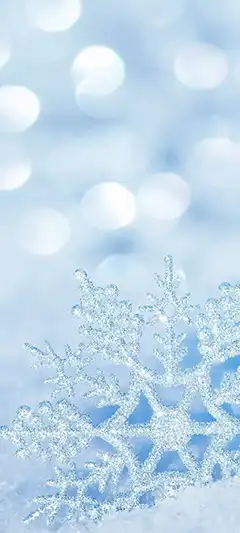 Подборка с красивыми HD фото на телефон: природа