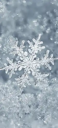 Обои HD с соотношением сторон 20:9 - 2025 год